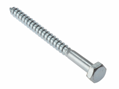 Coach Screw ZP         M16x100 5 Per Bag                (D28)